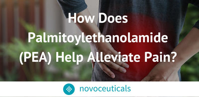 How Does Palmitoylethanolamide (PEA)  Help Alleviate Pain?