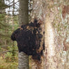 Ed's 3 Mushroom Blend 1:1:1 (Lions Mane, Reishi, Chaga)