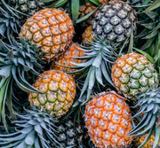 Bromelain Pure Powder